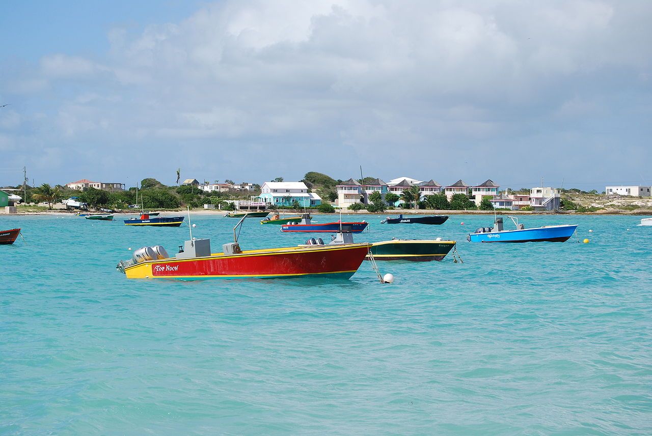 Dominio .ai: come Anguilla incassa milioni (trend 2025)